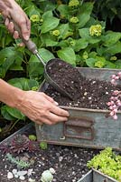 Fill the metal containers with the compost and gravel mix