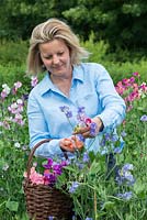 Lady Ursula Cholmeley picking sweet peas from the The Pickery at Easton Walled Gardens.