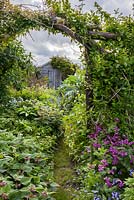 View through archway on rustic wooden trellis to wooden garden shed. Trellis holds Clematis montana 'Primrose Star' and honeysuckle.  Border plants include Lamium orvala, forget-me-nots, Lunaria annua - honesty, Hyacinthoides hispanica - Spanish bluebells,  Geranium phaeum, pulmonaria and hellebore foliage.