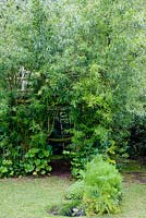 Tree-house constructed partially with living Salix - willow. Mixed bed under, including Foeniculum vulgare - fennel, Mentha spicata - mint, foliage of hollyhocks