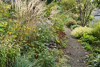 Gravel path passes between beds planted with a mix of herbaceous perennials and grasses including Rudbeckia fulgida var. sullivantii 'Goldsturm', asters, Persicaria microcephala 'Red Dragon', Calamagrostis x acutiflora 'Overdam' and Hakonechloa macra aureola on sloping land behind the house.