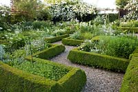 Knot garden with patterned Buxus hedges. White garden.