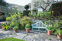 Lower terrace with bench framed by pots of Tulip 'Ivory Floradale' and limey green euphorbias. Little Malvern Court, Worcestershire, UK