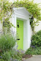 Lime green front door with lavender, hebe, campanula and honeysuckle