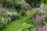 A grass path through double herbaceous borders with cottage style plants including aconites, delphinium, thalictrum, campanula, feverfew, leucanthemum, centaurea, alchemilla, foxglove, catmint, hardy geranium, prairie mallow and tobacco plant. At the far end Rosa 'Belvedere' rambling over a pergola.