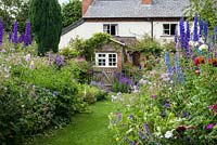 A grass path through double herbaceous borders with cottage style plants including aconites, delphinium, thalictrum, campanula, feverfew, leucanthemum, centaurea, alchemilla, foxglove, roses, catmint, hardy geranium and sweet williams.