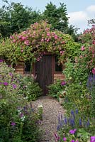 A gravel path leads between borders of hardy geranium, Jacob's ladder, veronica and scabious, to a summer house covered with rambling Rosa 'Dorothy Perkins'.