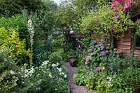 A cottage garden with rambling Rosa 'Dorothy Perkins' on right, underplanted with hydrangea, hardy geranium, alchemilla, feverfew and veronica. At the far end, Rosa 'Belvedere' and  Clematis 'Etoile Violette' scramble over a rustic arch.