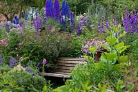 A cottage garden with wooden bench amongst a large herbaceous border of delphinium, thalictrum, Jacob's ladder, campanula, roses, foxglove and hardy geranium.