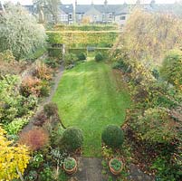 Aerial view of formal town garden in Autumn with box topiary, pleached field maples. 