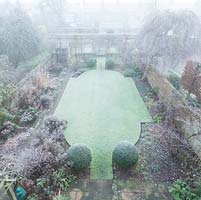 Aerial view of formal town garden in winter with box topiary, pleached field maples. 
