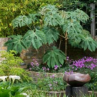 A ceramic bird bath by Sarah Walton in middle of corner courtyard. Behind, raised beds of Geranium maderense, fleabane and Tetrapanax papyrifera. 