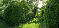 Vista of ironwork trellis with Clematis viticella 'Etoile violette', clipped Taxus baccata domes and woodland planting - June, Le Jardin de Marguerite, France
