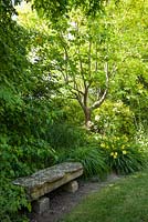 Stone bench with Liquidamber orientalis, Liriodendron tulipifera and Hemerocallis 'Stella d'Oro' - tulip tree and oriental sweetgum - June, Le Jardin de Marguerite, France