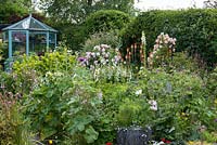 A cottage garden with colourful mixed border of Rosa 'Phyllis Bide' on obelisk, Rosa 'Fantin Latour', red hot poker, flag iris, geranium and cosmos. Behind, a painted wooden framed green house.