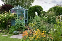 A cottage garden with Rosa 'Graeme Thomas' beside a wooden framed green house. On the right, a mixed border with candelabra primulas, achilleas, flag iris, polemonium and aquliegia.