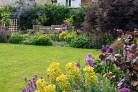 A family garden with seating area, lawn and borders filled with tough plants including: Allium 'Purple Sensation', Euphorbia characias subsp. wulfenii, Aquilegia vulgaris, Erysimum 'Bowles Mauve', bronze fennel and Alchemilla mollis with purple hazel and black elder trees.