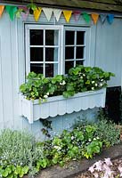 A painted children's shed with window box growing strawbery plants.