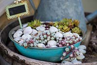 An upcycled metal bowl planted with succulents and decorated with sea shells.