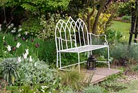 A spring garden with ornate metal bench in a border with tulips 'White Triumphator' and 'Queen of the Night', honesty, narcissi and ornamental grasses.
