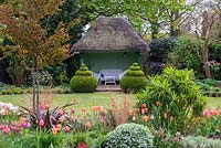 A spring garden with mixed border of tulips, Cercidiphyllum japonicum, Euphorbia mellifera and ornamental grasses, in front of topiary box and a thatched summer house.