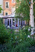 View  over central sunny bed planted with purple and white alliums 'Purple Sensation' and 'Everest' Mathiasella burpleuroides 'Green Dream', peonies and Iris 'Jane Phillips'. On right, silver trunks of birch. Behind, terrace and new garden room built on rear of house.