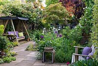 A swing seat sits below pink camellias and Rosa 'Paul's Himalayan Musk'. On right, sunny bed planted with purple and white alliums, scabious, peonies, Mathiasella burpleuroides 'Green Dream' and Iris 'Jane Phillips'. On right wall, climbing roses. Behind, Japanese maple and red-leaved ornamental cherry.