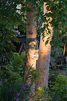 Illuminated at night, trunk of silver birch with ceramic face sculpture by Pauline Lee, rising above border of Euphorbia characias, purple Erysimum 'Bowles Mauve' and grasses.
