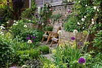 In central sunny bed: purple and white alliums, Mathiasella burpleuroides 'Green Dream', sedum, scabious, peonies and irises. Growing in raised beds on right wall, Geranium Rozanne, lavender and roses.