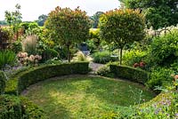A suburban garden with a circular structure created by shaped box and a clover lawn. Two Photinia x fraseri standards divide the garden and provide a gateway to a small secluded seating area. Deep borders of mixed planting includes Allium seedheads, Penstemon, Cosmos, Clematis, Geranium and ornamental grasses.
