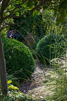 A terracotta urn provides a focal point between Buxus semperviren balls. In the foreground Stipa tennuissima, Dierama and Verbena bonariensis.