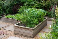 A wooden raised bed with fruit and vegetables: tomatoes, potatoes and gooseberry.