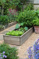 A raised area with slab and gravel paths between borders planted with fruit and vegetables: lettuce, courgette and gooseberry and mixed borders: penstemon, scabious and dianthus.