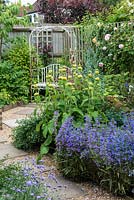 A slab and gravel path leading to an ornate metal bench beneath an arbour. In front, a mixed border with Phlomis russeliana, Penstemon heterophyllus 'Heavenly Blue' and Thalictrum flavum.