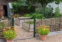 The vegetable garden with metal gate, woven hazel fence, marigolds in pots and raised beds made from wooden planks