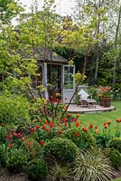 A country garden with hot mixed borders with Tulipa Brown Sugar, General de Wet and Orange Cassini with Acer and shaped box balls. Behind, a small wooden summerhouse and patio.