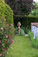 View to urn, along grass path, past Rosa chinensis 'Mutabilis', yew hedge and Iris 'Jane Phillips'