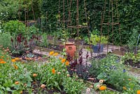 Potager with raised beds of beans, dahlias, nigella, marigolds, snapdragons and parsnips.