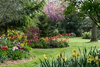The main lawns with island beds planted with mixed tulips. Central bed planted with Tulipa 'Ad Rem' and Tulipa 'Orange Lion'.