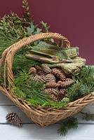 A wicker basket containing foraged pine cones with foliage