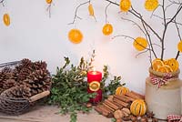 Winter display of dried Citrus fruit, Cinnamon sticks, Hazelnuts and Eucalyptus