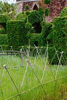 Fences of bamboo and chestnut divides the parterre where wheat grows at Le Prieuré d'Orsan, with clipped hornbeam in the background