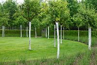 Pear tree orchard planted in a concentric pattern at le Prieuré Notre Dame d'Orsan in June.