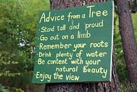 Advice from a tree in a garden, Cape Town, South Africa