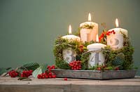 Advent candles with numbered clay plates, Pyracantha and Moss against a green background