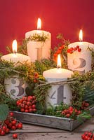 Advent candles with numbered clay plates, Pyracantha and Moss against a red background