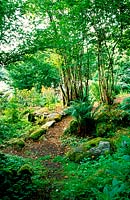 Abriachan. Loch Ness. Invernesshire, Scotland. The garden is situated on a hillside overlooking loch ness - with planting chosen to integrate with the surrounding environment
