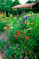 Colourful border at Abraxas, Frome, Somerset. Organic garden nursery, specialising in Hemerocallis