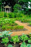 Vegetable garden seperated with gravel path