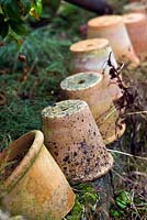 Empty terracotta pots in the garden